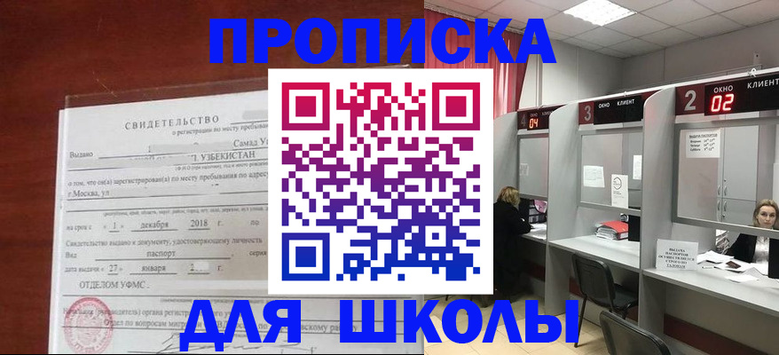 где прописаться в Волосово